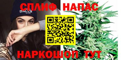 jwh Краснодар