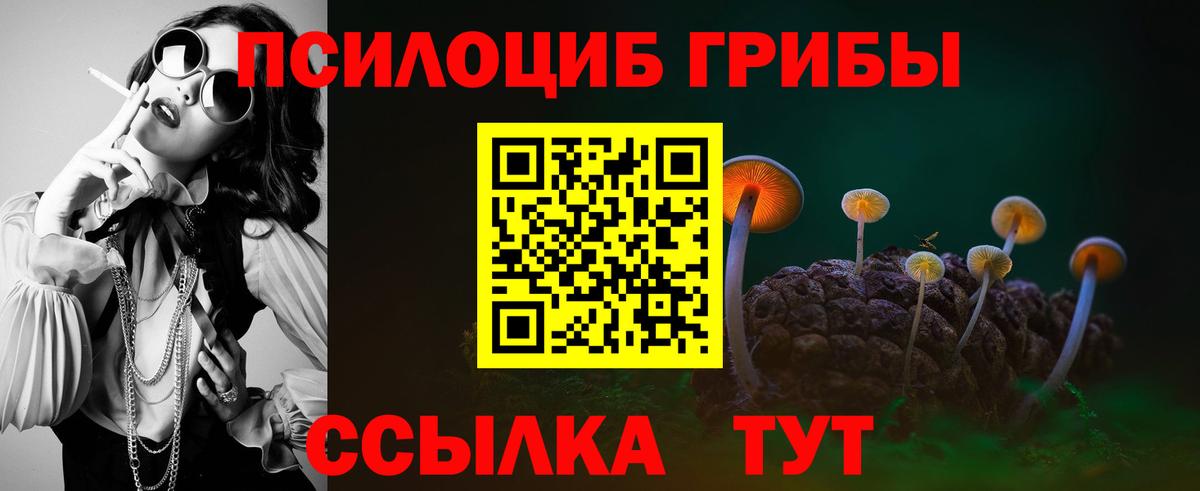 Псилоцибиновые грибы мицелий  Вход с VPN  Ипатово 